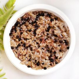 [Gognac] Fermentation Konjac Lentils rice 150gx10pack-Low Calorie Diet Superfood Fiber Diet-Made in Korea